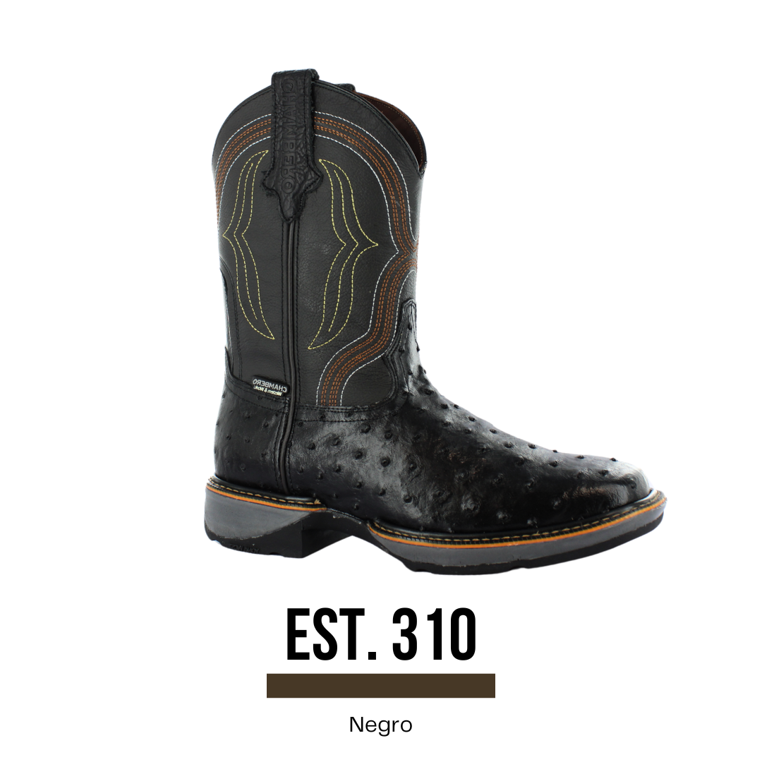 SITIO WEB SOMARC FOTOS (1)